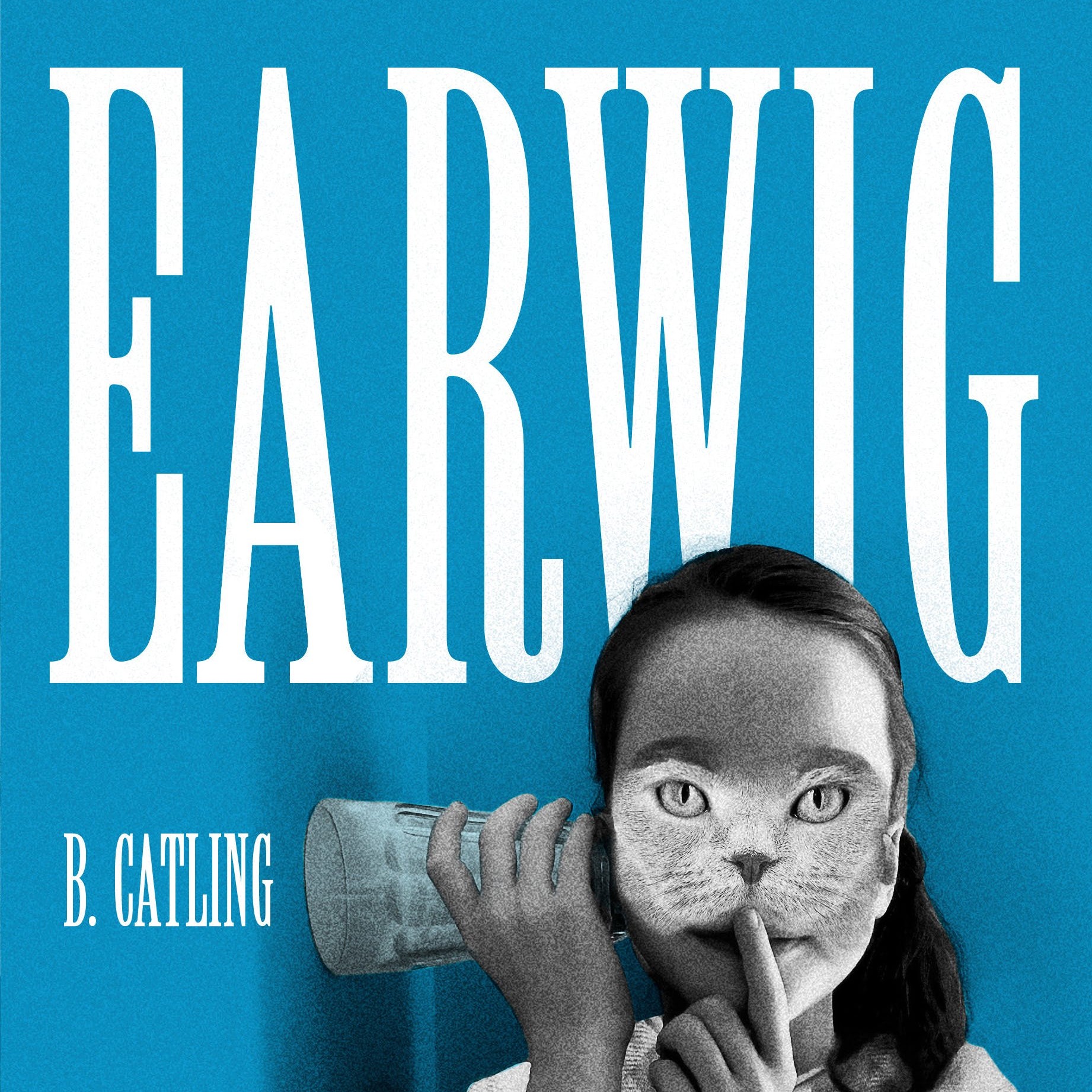 Earwig by Brian Catling