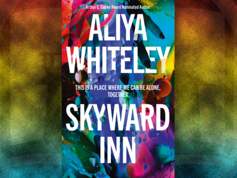 Skyward Inn by Aliya Whiteley